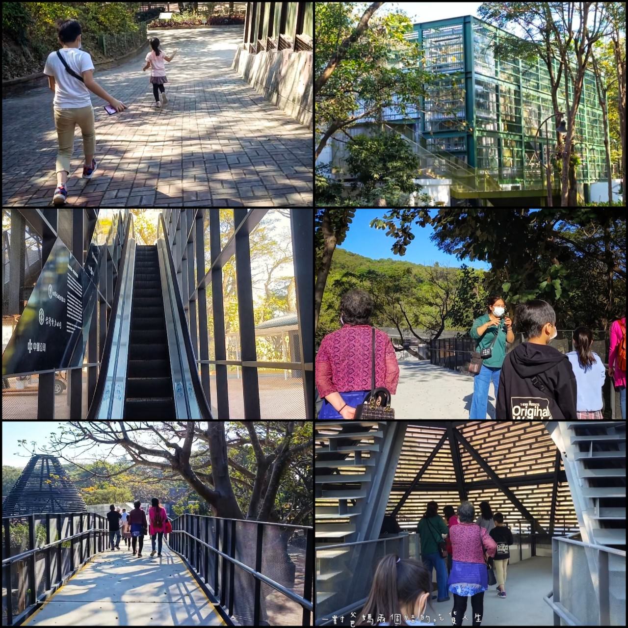 2022壽山動物園│高雄親子景點│重磅回歸!空中漫步長廊讓你俯瞰園區動物全景,專屬親子共樂空間,孩子放電、大人放鬆的最佳景點! - 第6張圖 2022壽山動物園│高雄親子景點│重磅回歸!空中漫步長廊讓你俯瞰園區動物全景,專屬親子共樂空間,孩子放電、大人放鬆的最佳景點!