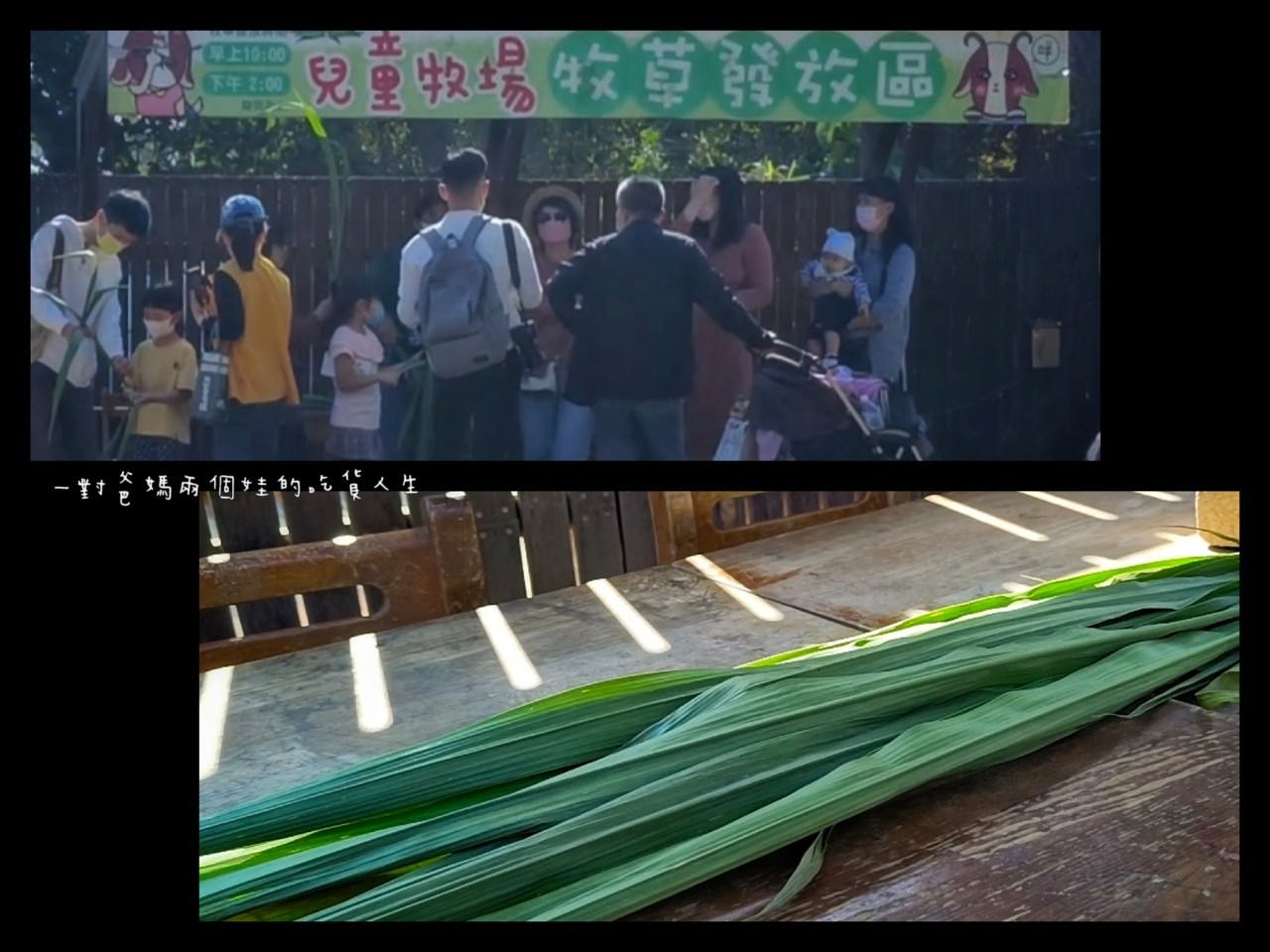 2022壽山動物園│高雄親子景點│重磅回歸!空中漫步長廊讓你俯瞰園區動物全景,專屬親子共樂空間,孩子放電、大人放鬆的最佳景點! - 第46張圖 2022壽山動物園│高雄親子景點│重磅回歸!空中漫步長廊讓你俯瞰園區動物全景,專屬親子共樂空間,孩子放電、大人放鬆的最佳景點!