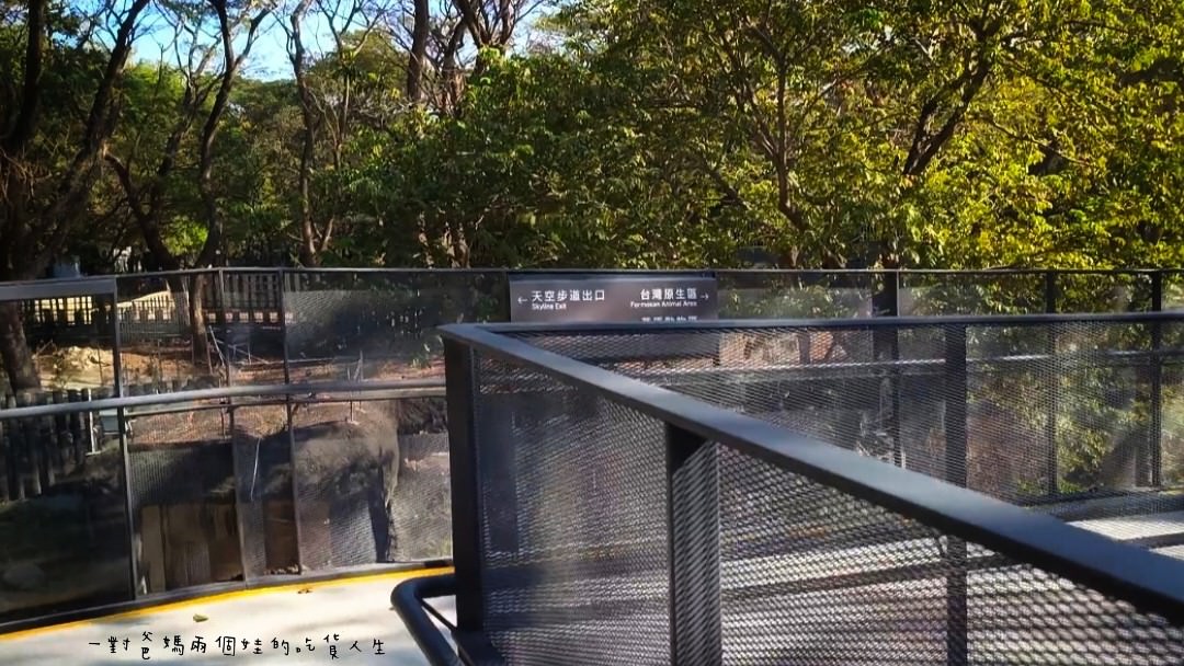 2022壽山動物園│高雄親子景點│重磅回歸!空中漫步長廊讓你俯瞰園區動物全景,專屬親子共樂空間,孩子放電、大人放鬆的最佳景點! - 第40張圖 2022壽山動物園│高雄親子景點│重磅回歸!空中漫步長廊讓你俯瞰園區動物全景,專屬親子共樂空間,孩子放電、大人放鬆的最佳景點!