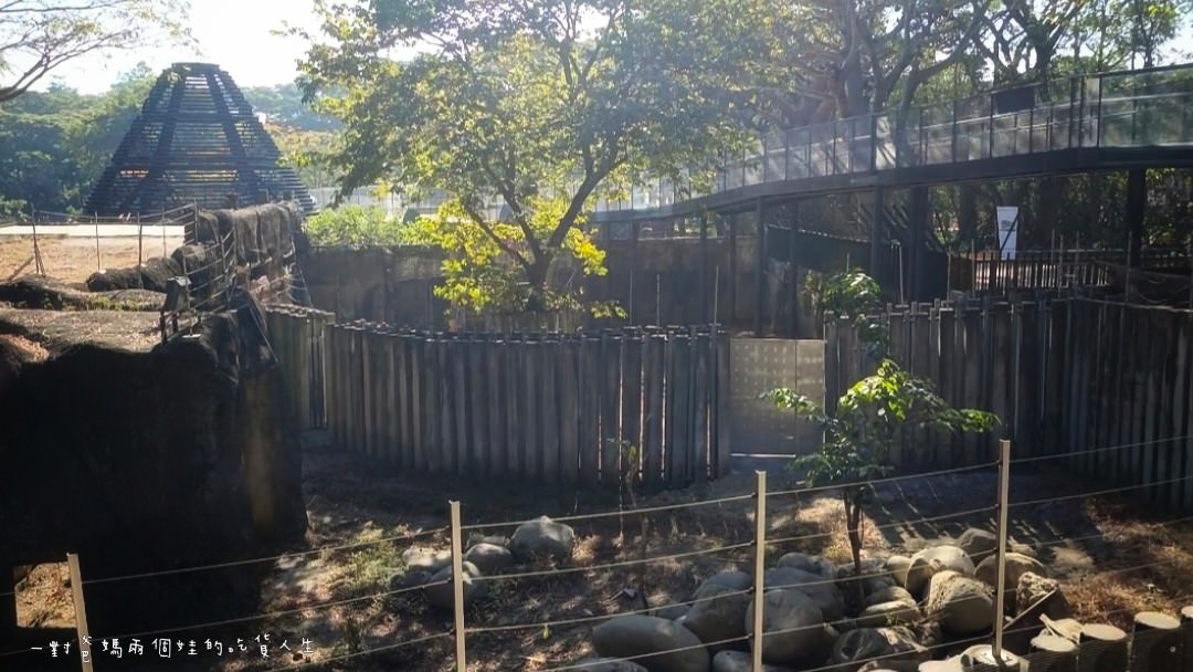 2022壽山動物園│高雄親子景點│重磅回歸!空中漫步長廊讓你俯瞰園區動物全景,專屬親子共樂空間,孩子放電、大人放鬆的最佳景點! - 第28張圖 2022壽山動物園│高雄親子景點│重磅回歸!空中漫步長廊讓你俯瞰園區動物全景,專屬親子共樂空間,孩子放電、大人放鬆的最佳景點!