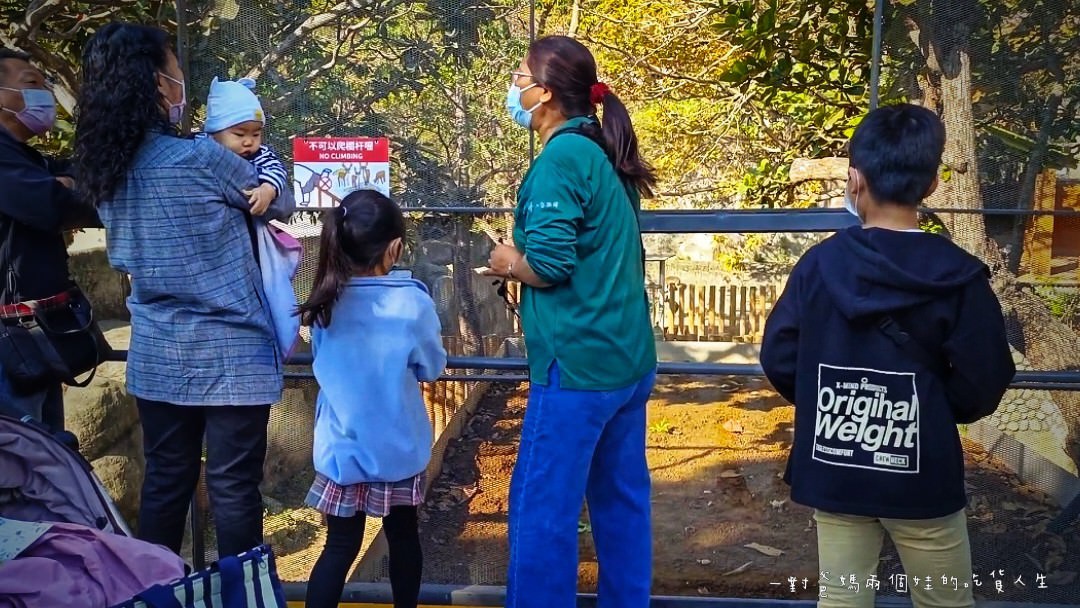 2022壽山動物園│高雄親子景點│重磅回歸!空中漫步長廊讓你俯瞰園區動物全景,專屬親子共樂空間,孩子放電、大人放鬆的最佳景點! - 第27張圖 2022壽山動物園│高雄親子景點│重磅回歸!空中漫步長廊讓你俯瞰園區動物全景,專屬親子共樂空間,孩子放電、大人放鬆的最佳景點!