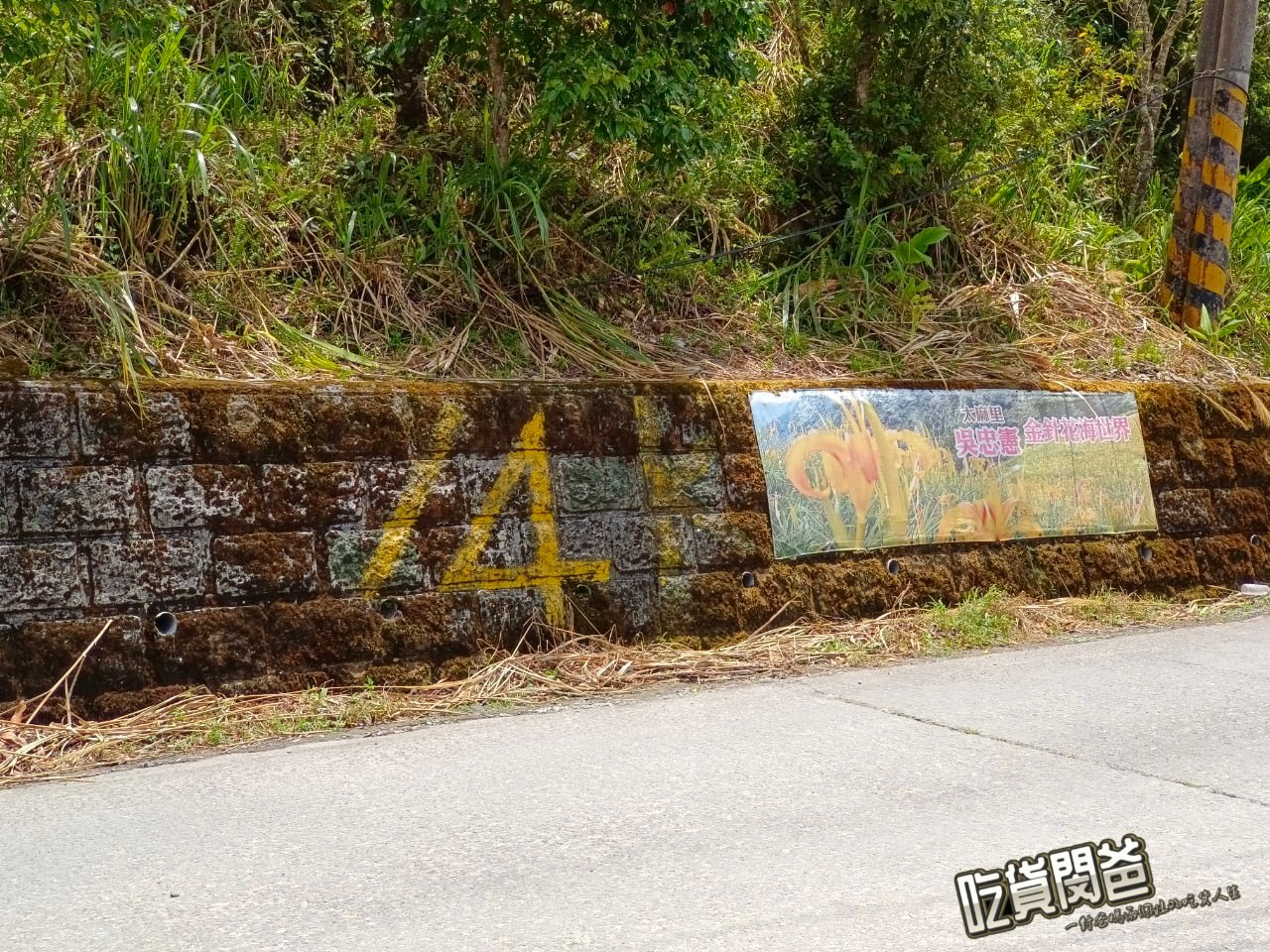 台東太麻里金針花海。隱藏版祕境,滿山遍野金針花、繡球花,綻開於雲海山岳纏繞的高海拔忘憂谷、雙乳峰之上! - 第37張圖 台東太麻里金針花海。隱藏版祕境,滿山遍野金針花、繡球花,綻開於雲海山岳纏繞的高海拔忘憂谷、雙乳峰之上!