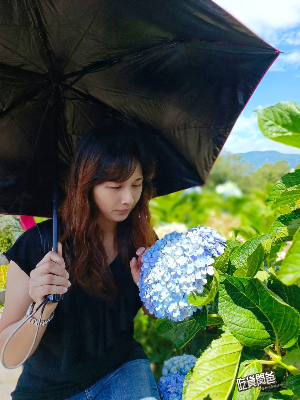 台東太麻里金針花海。隱藏版祕境,滿山遍野金針花、繡球花,綻開於雲海山岳纏繞的高海拔忘憂谷、雙乳峰之上! - 第25張圖 台東太麻里金針花海。隱藏版祕境,滿山遍野金針花、繡球花,綻開於雲海山岳纏繞的高海拔忘憂谷、雙乳峰之上!