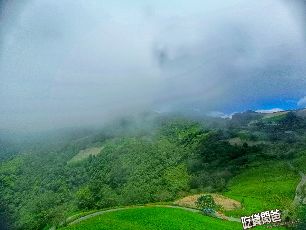 台東太麻里金針花海。隱藏版祕境,滿山遍野金針花、繡球花,綻開於雲海山岳纏繞的高海拔忘憂谷、雙乳峰之上! - 第6張圖 台東太麻里金針花海。隱藏版祕境,滿山遍野金針花、繡球花,綻開於雲海山岳纏繞的高海拔忘憂谷、雙乳峰之上!