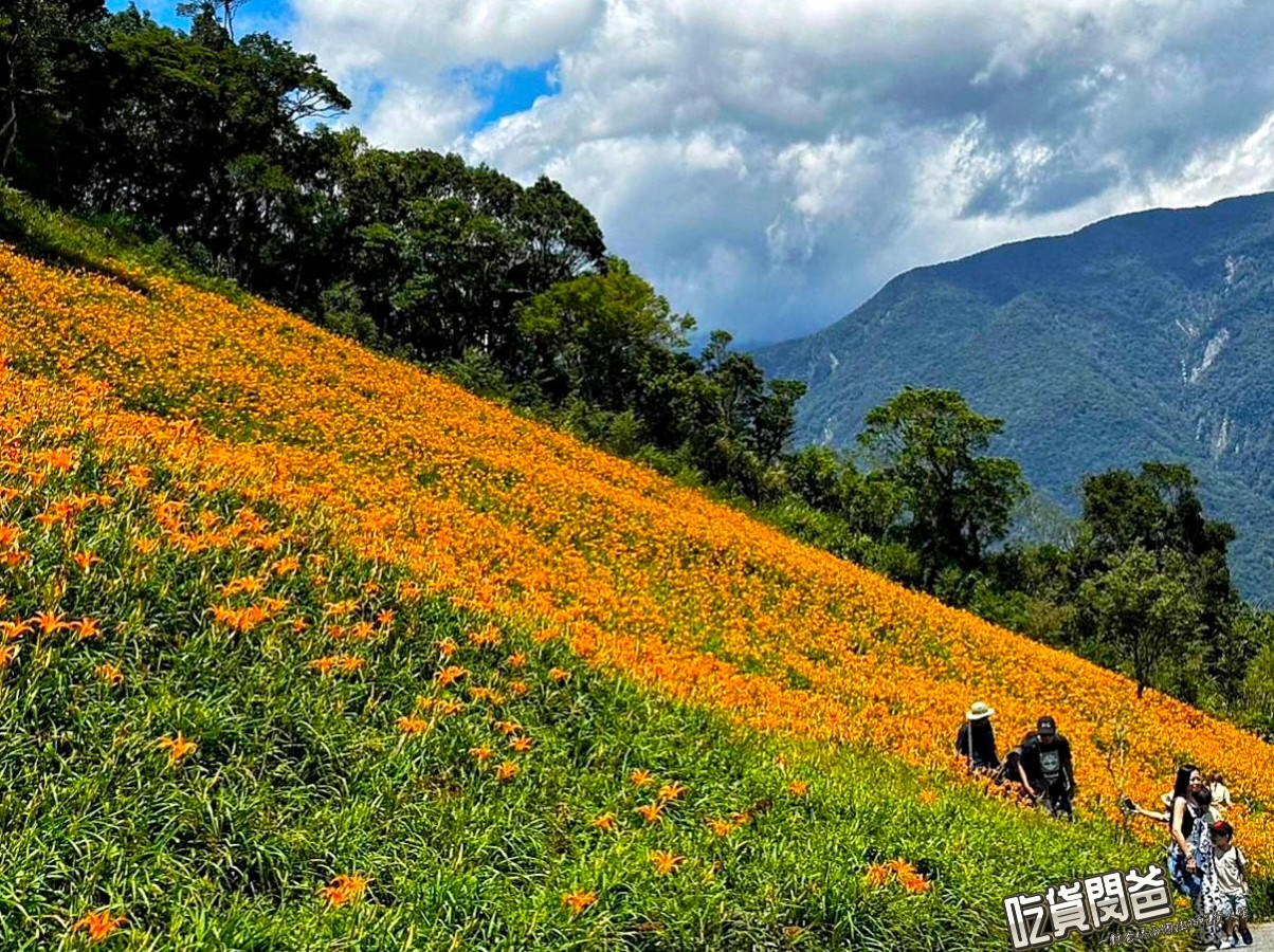 台東太麻里金針花海。隱藏版祕境,滿山遍野金針花、繡球花,綻開於雲海山岳纏繞的高海拔忘憂谷、雙乳峰之上! - 第18張圖 台東太麻里金針花海。隱藏版祕境,滿山遍野金針花、繡球花,綻開於雲海山岳纏繞的高海拔忘憂谷、雙乳峰之上!