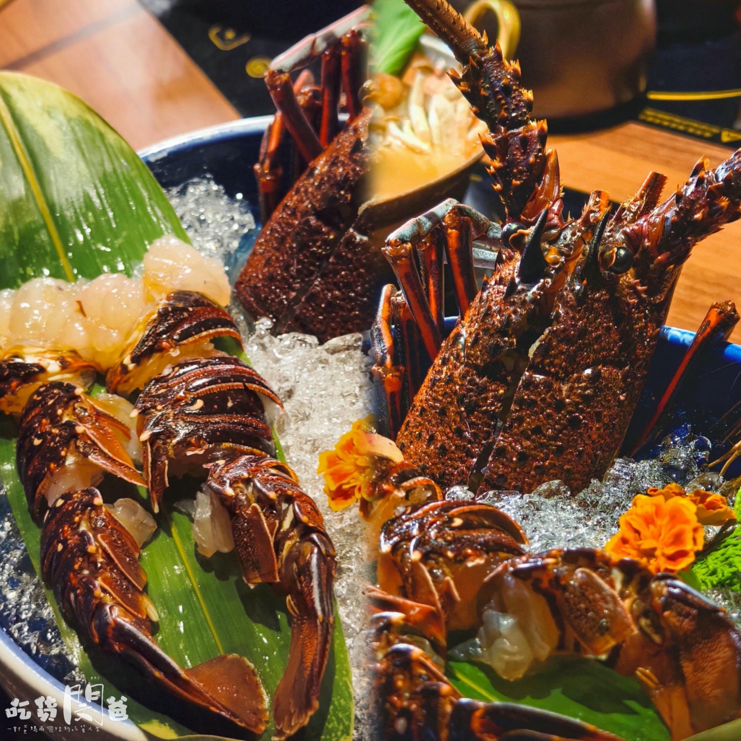 仲板前鍋物│高雄前金│一鍋入魂！巷弄隱藏版！超狂雜炊龍蝦鍋、午間限定甜甜價鍋物，一吃愛上！