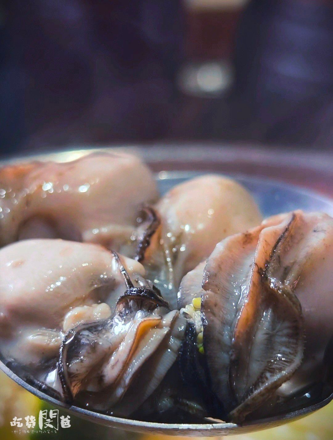 仲板前鍋物│高雄前金│一鍋入魂！巷弄隱藏版！超狂雜炊龍蝦鍋、午間限定甜甜價鍋物，一吃愛上！