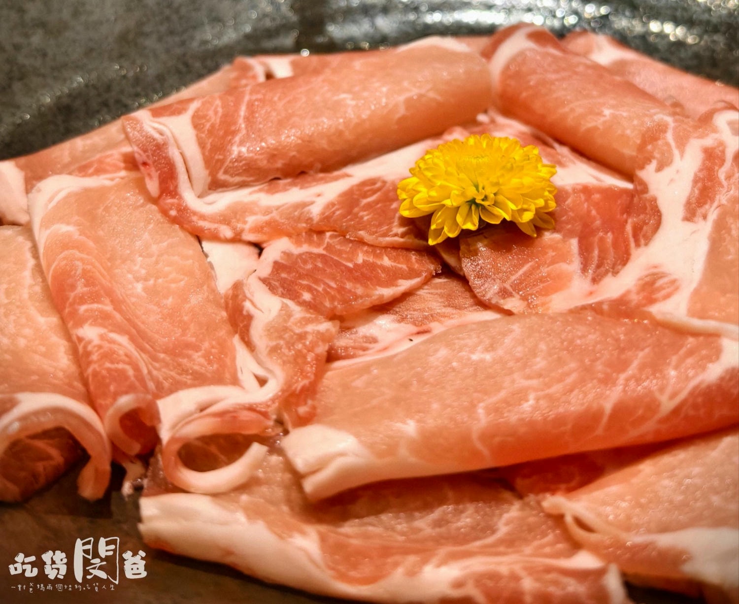 仲板前鍋物│高雄前金│一鍋入魂！巷弄隱藏版！超狂雜炊龍蝦鍋、午間限定甜甜價鍋物，一吃愛上！