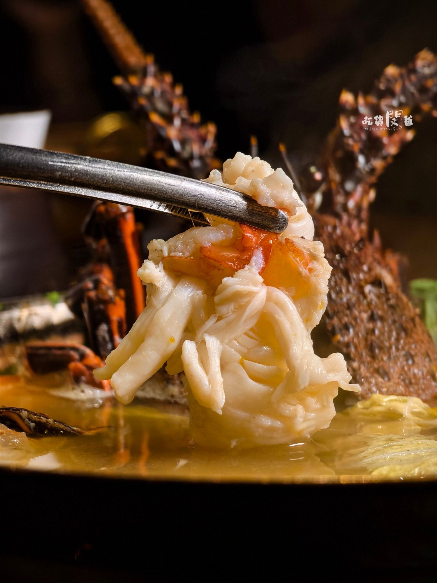 仲板前鍋物│高雄前金│一鍋入魂！巷弄隱藏版！超狂雜炊龍蝦鍋、午間限定甜甜價鍋物，一吃愛上！