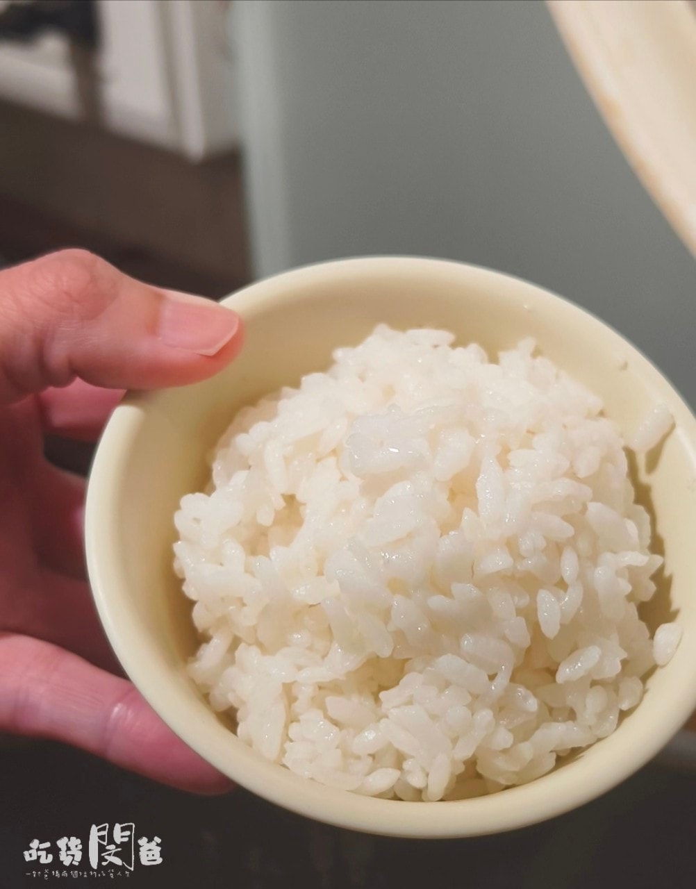 鼎鑄鍋物│高雄鳳山火鍋推薦│20多種風味的平價小火鍋吃到飽，吃飽吃巧，一吃愛上！
