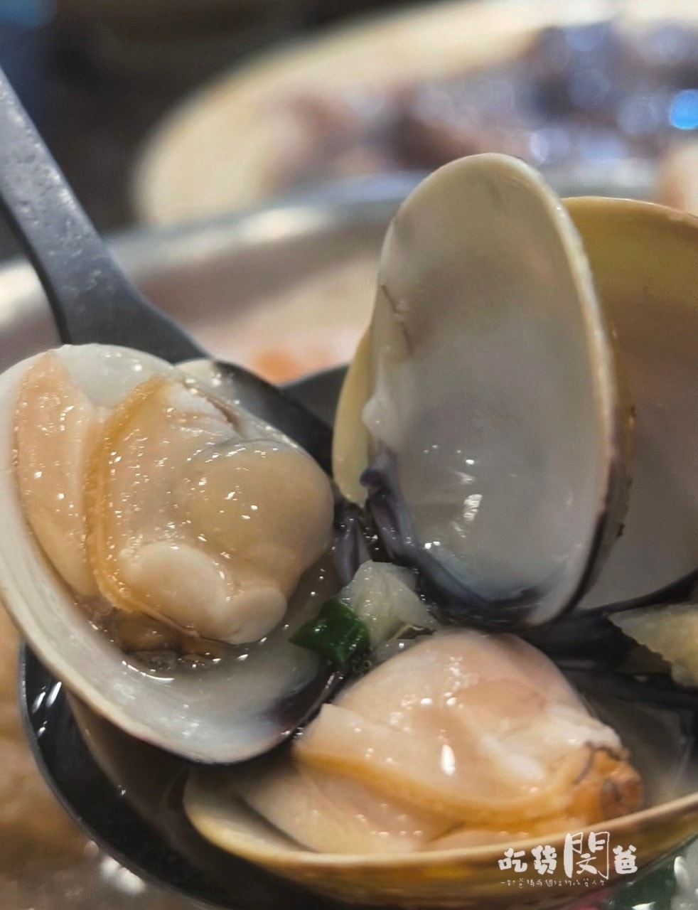 鼎鑄鍋物│高雄鳳山火鍋推薦│20多種風味的平價小火鍋吃到飽，吃飽吃巧，一吃愛上！
