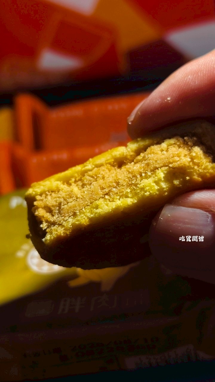 胖肉鋪|肉鬆餅口感不單調,秒殺零嘴!鳳荔酥混搭奶香、果香,一吃會愛上! - 第10張圖 胖肉鋪|肉鬆餅口感不單調,秒殺零嘴!鳳荔酥混搭奶香、果香,一吃會愛上!