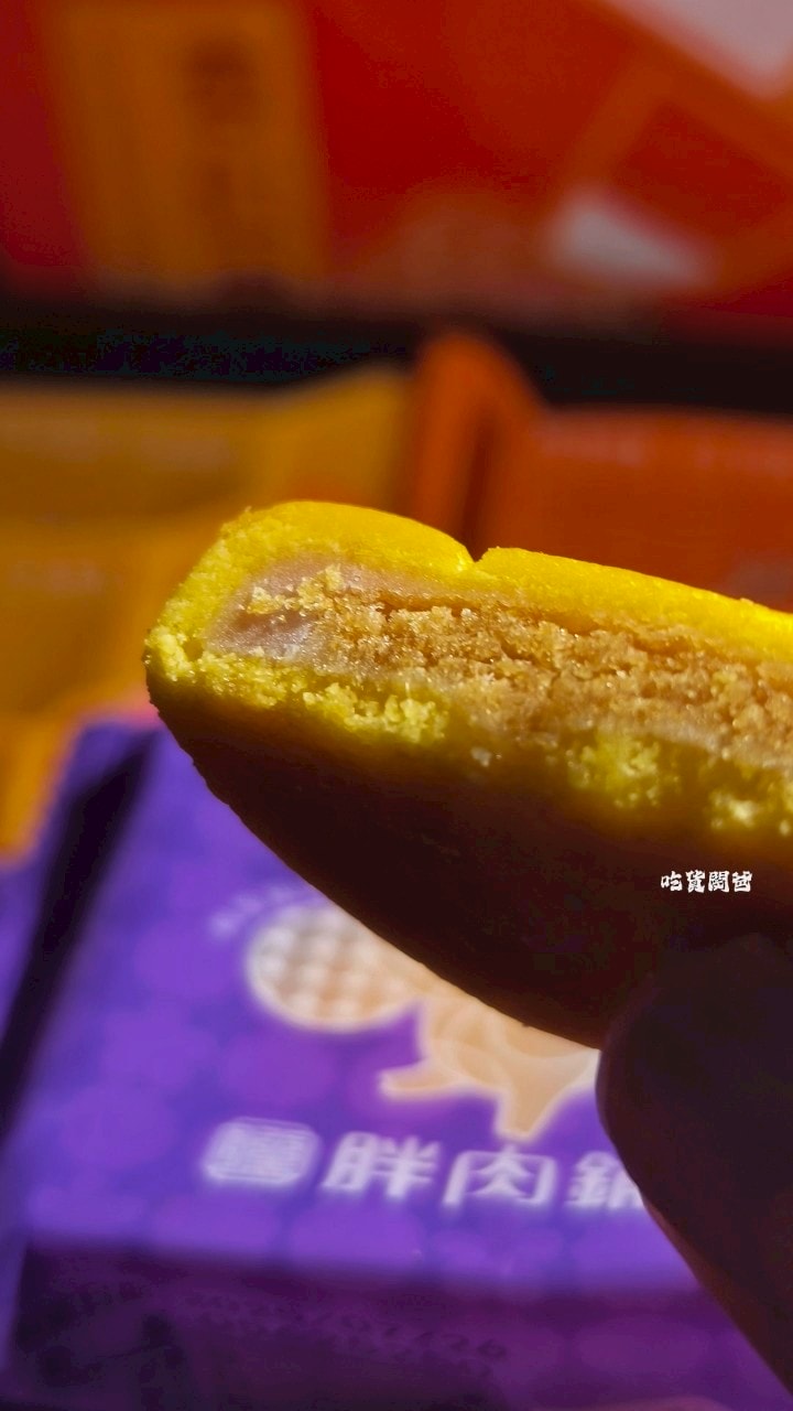 胖肉鋪|肉鬆餅口感不單調,秒殺零嘴!鳳荔酥混搭奶香、果香,一吃會愛上! - 第11張圖 胖肉鋪|肉鬆餅口感不單調,秒殺零嘴!鳳荔酥混搭奶香、果香,一吃會愛上!