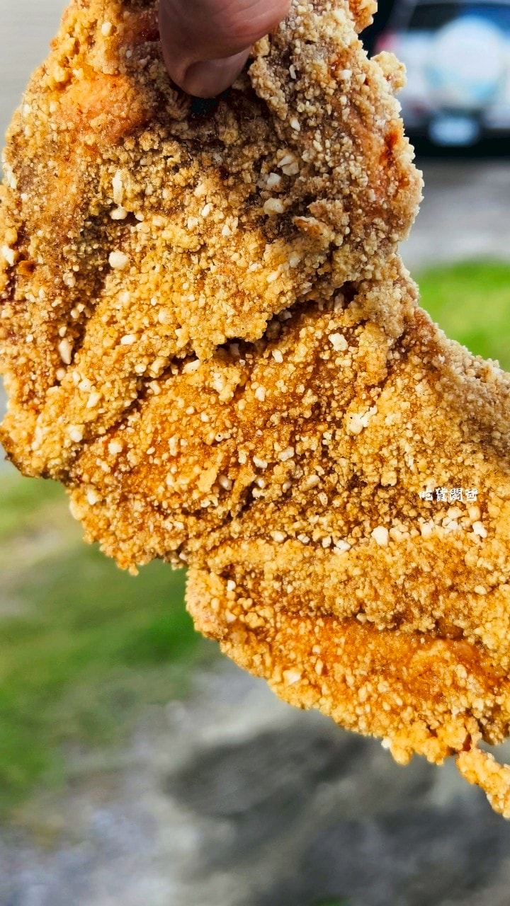蘋果雞台南西港店|比臉大雞排60元,酥香多汁肉嫩,吃起來飽嘴,大大滿足! - 第17張圖 蘋果雞台南西港店|比臉大雞排60元,酥香多汁肉嫩,吃起來飽嘴,大大滿足!