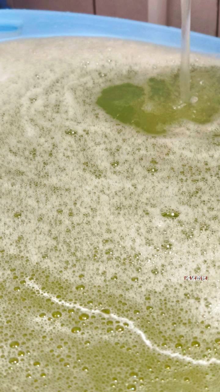沙威隆潔身液｜居家沐浴推薦，陪伴我們從小到大的潔淨肌膚的神隊友！