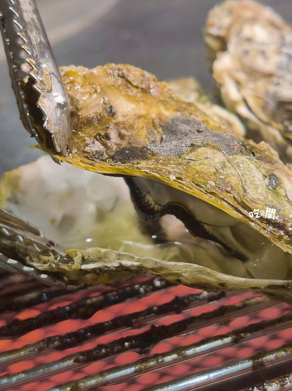 南海澎湖燒烤｜高雄前鎮｜最強消夜場！澎湖直送魚蝦蟹、生蠔通通無限吃到飽！