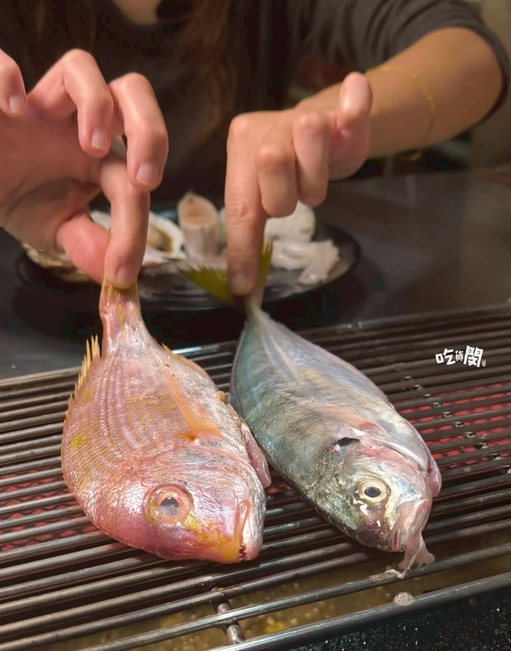 南海澎湖燒烤｜高雄前鎮｜最強消夜場！澎湖直送魚蝦蟹、生蠔通通無限吃到飽！