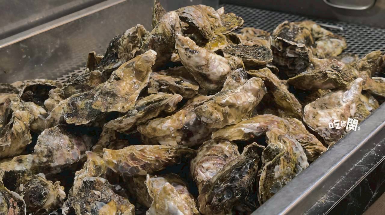 南海澎湖燒烤｜高雄前鎮｜最強消夜場！澎湖直送魚蝦蟹、生蠔通通無限吃到飽！