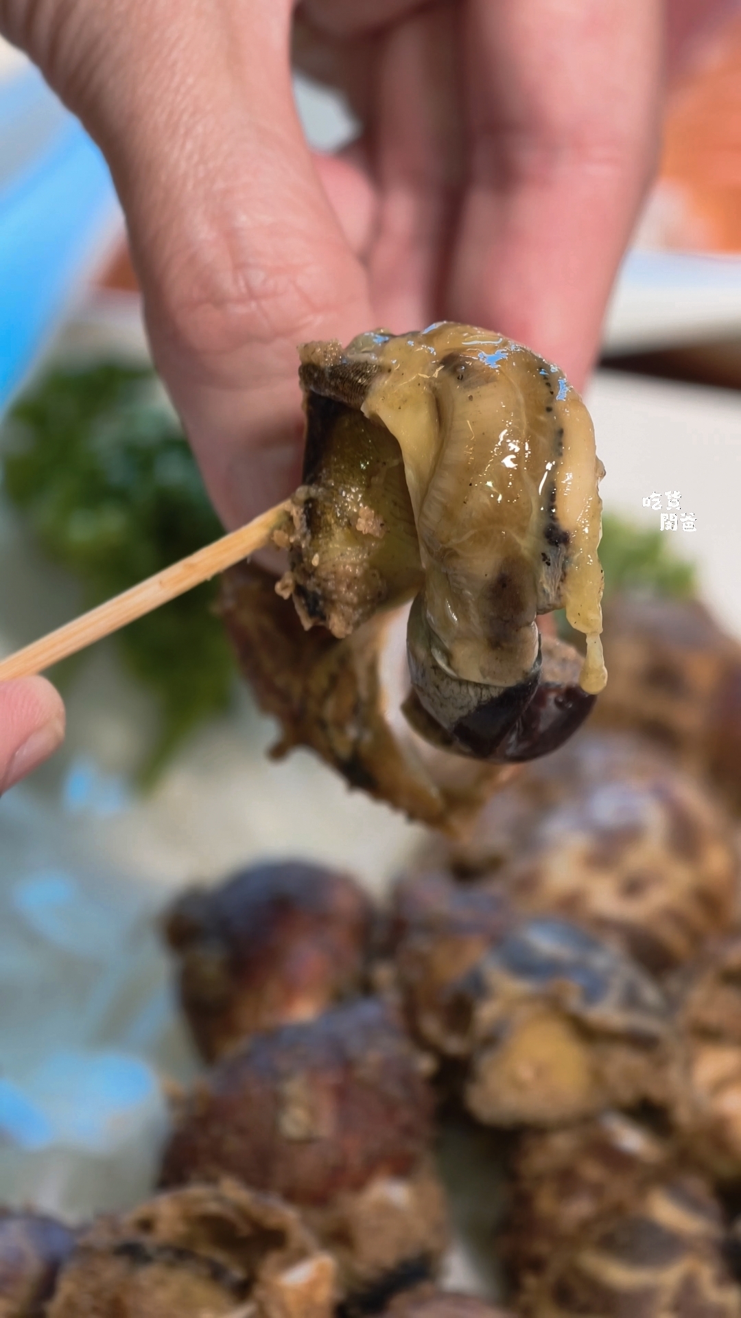 六少爺海鮮恆春店｜泰國蝦、滷豬腳、近80種家常熱炒必吃！恆春最強CP海鮮熱炒店！