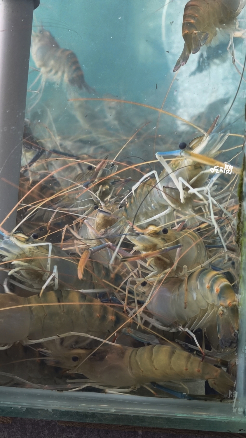 六少爺海鮮恆春店｜泰國蝦、滷豬腳、近80種家常熱炒必吃！恆春最強CP海鮮熱炒店！