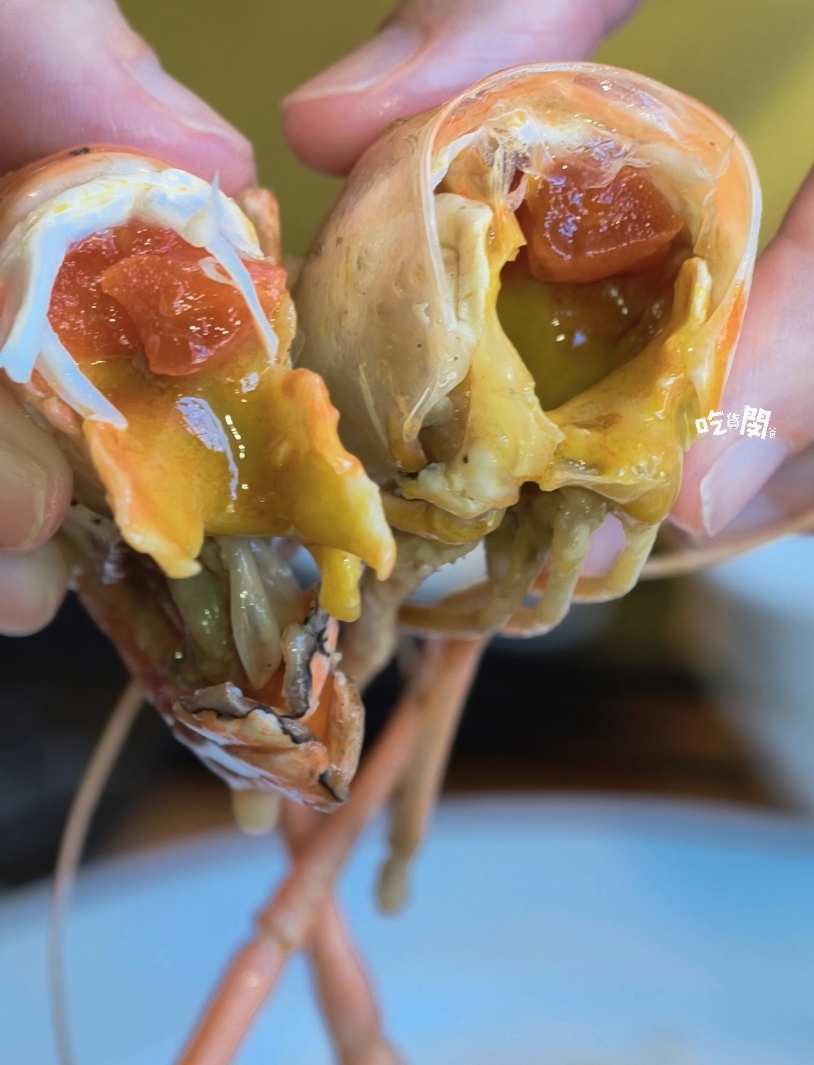 六少爺海鮮恆春店｜泰國蝦、滷豬腳、近80種家常熱炒必吃！恆春最強CP海鮮熱炒店！