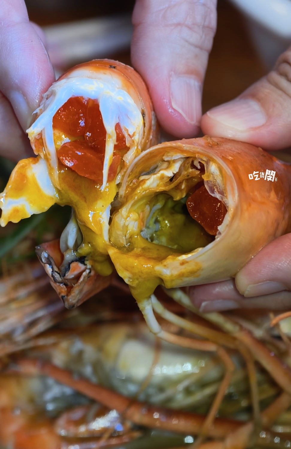 六少爺海鮮恆春店｜泰國蝦、滷豬腳、近80種家常熱炒必吃！恆春最強CP海鮮熱炒店！