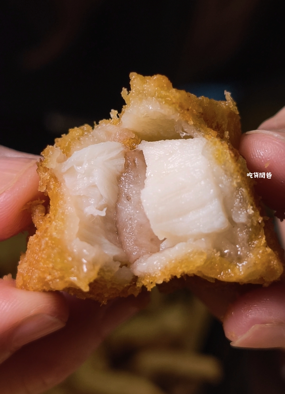 老闆不夠辣｜高雄最便宜的銅板價咖哩飯，海陸空霸王咖哩，蕭勒賀呷！