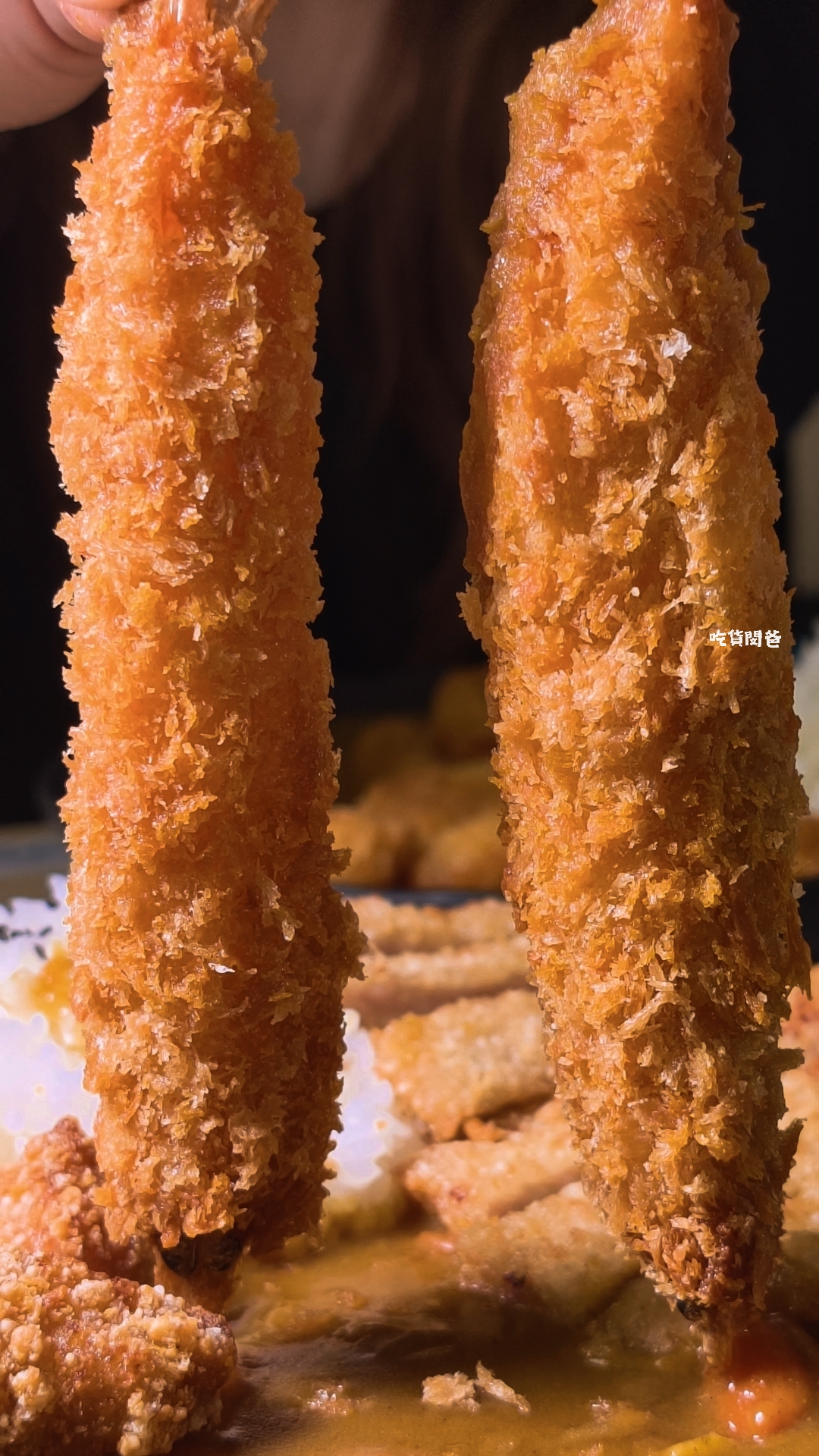 老闆不夠辣｜高雄最便宜的銅板價咖哩飯，海陸空霸王咖哩，蕭勒賀呷！