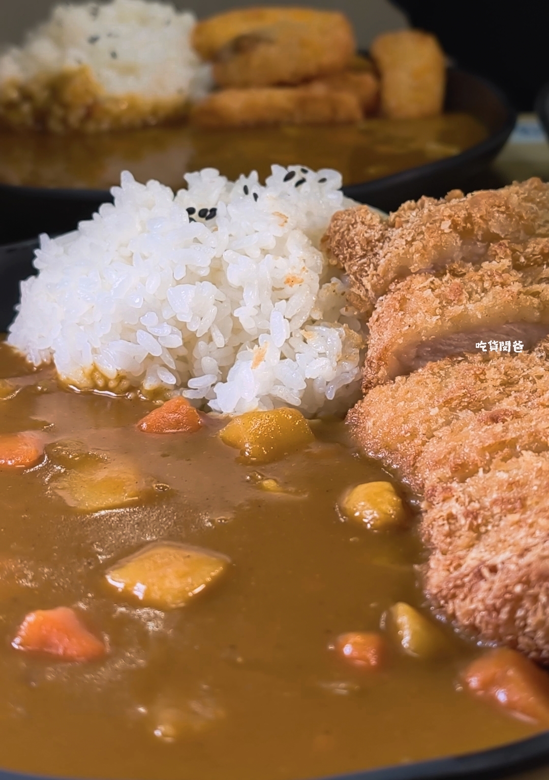 老闆不夠辣｜高雄最便宜的銅板價咖哩飯，海陸空霸王咖哩，蕭勒賀呷！