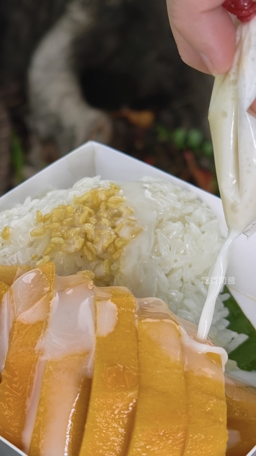 檸檬葉泰國菜|隱藏在黃昏市場的好店!泰奶必喝!涼拌青木瓜必吃!慢來秒殺.. - 第29張圖 檸檬葉泰國菜|隱藏在黃昏市場的好店!泰奶必喝!涼拌青木瓜必吃!慢來秒殺..