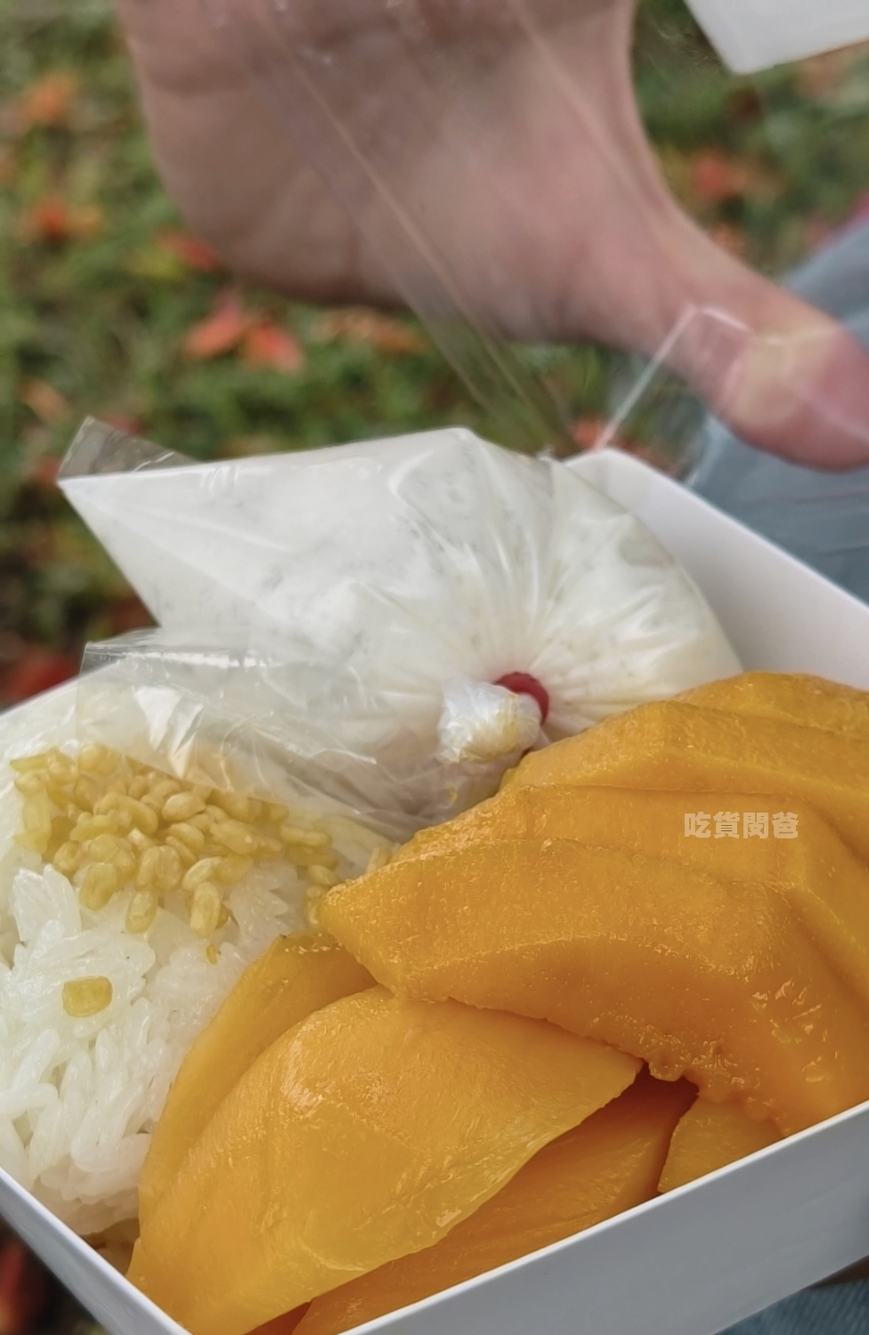 檸檬葉泰國菜|隱藏在黃昏市場的好店!泰奶必喝!涼拌青木瓜必吃!慢來秒殺.. - 第28張圖 檸檬葉泰國菜|隱藏在黃昏市場的好店!泰奶必喝!涼拌青木瓜必吃!慢來秒殺..